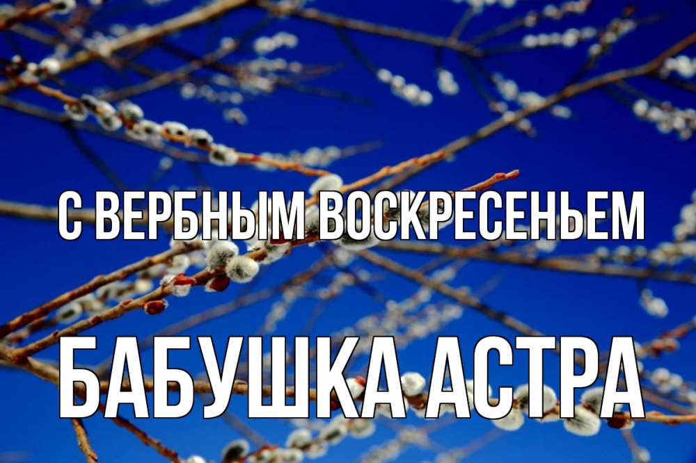 Открытка на каждый день с именем, Бабушка-Астра С вербным воскресеньем верба Прикольная открытка с пожеланием онлайн скачать бесплатно 