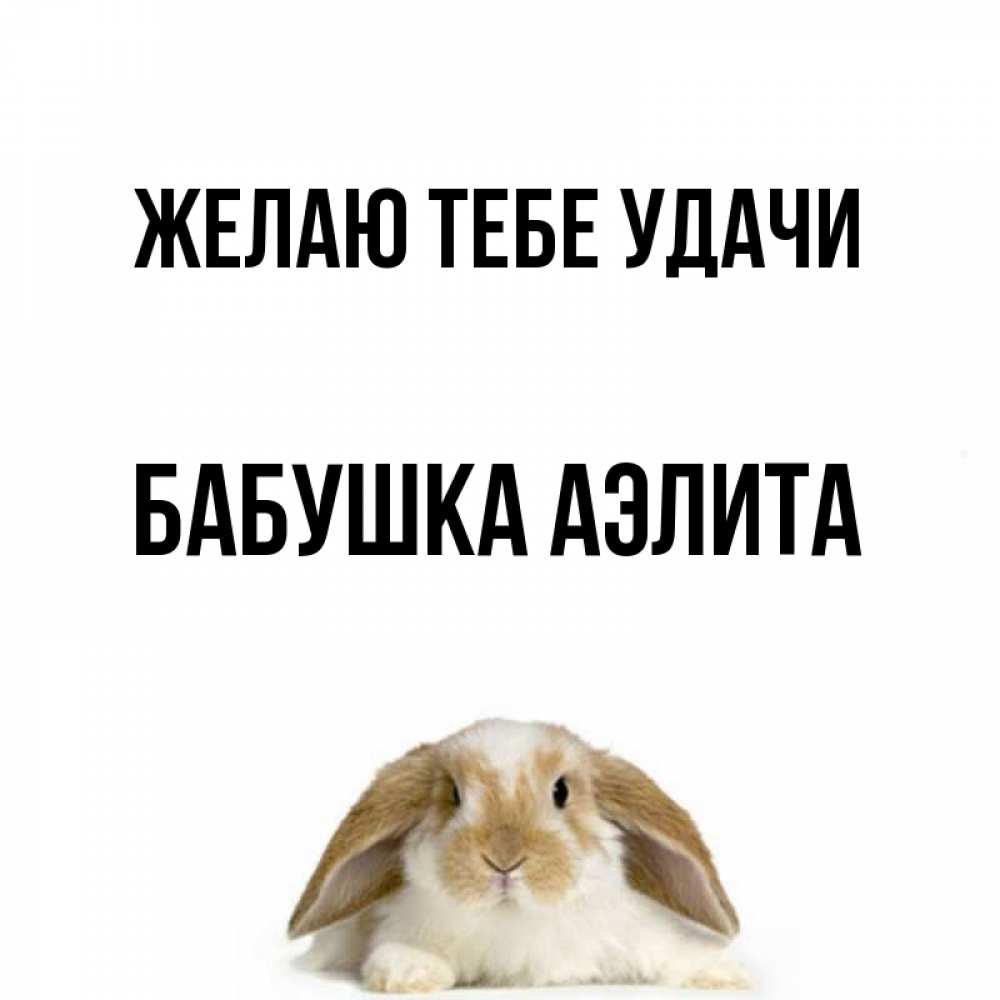 Открытка на каждый день с именем, Бабушка-Аэлита Желаю тебе удачи открытки с произвольным текстом который можно вставить в открытку и создать ее самостоятельно бесплатно онлайн Прикольная открытка с пожеланием онлайн скачать бесплатно 