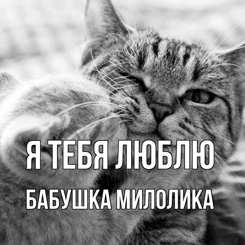 Открытка на каждый день с именем, Бабушка-Милолика Я тебя люблю коты Прикольная открытка с пожеланием онлайн скачать бесплатно 