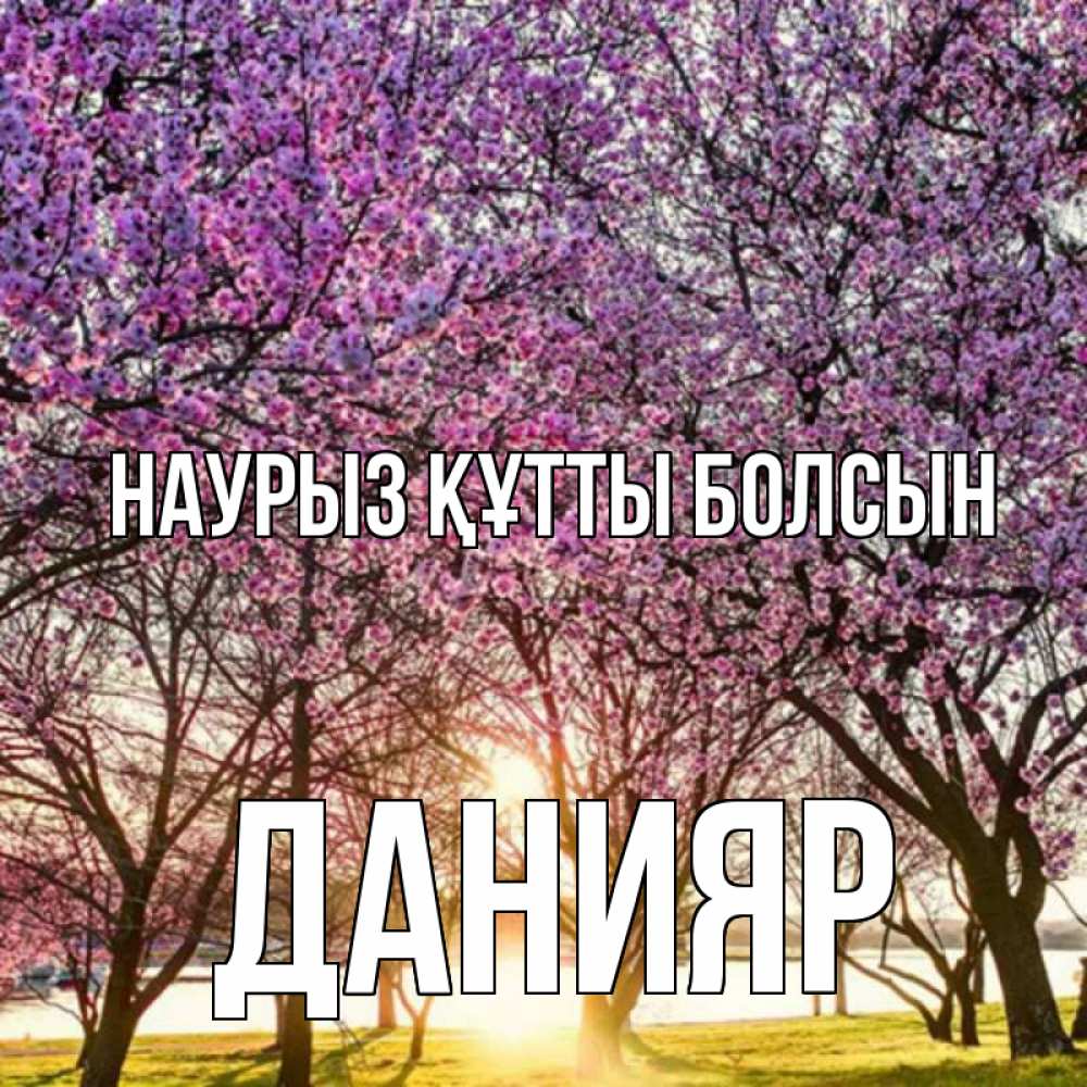 Открытка на каждый день с именем, Данияр Наурыз құтты болсын наурыз Прикольная открытка с пожеланием онлайн скачать бесплатно 