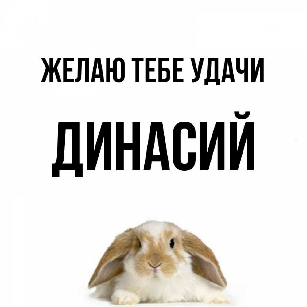 Открытка на каждый день с именем, Динасий Желаю тебе удачи открытки с произвольным текстом который можно вставить в открытку и создать ее самостоятельно бесплатно онлайн Прикольная открытка с пожеланием онлайн скачать бесплатно 