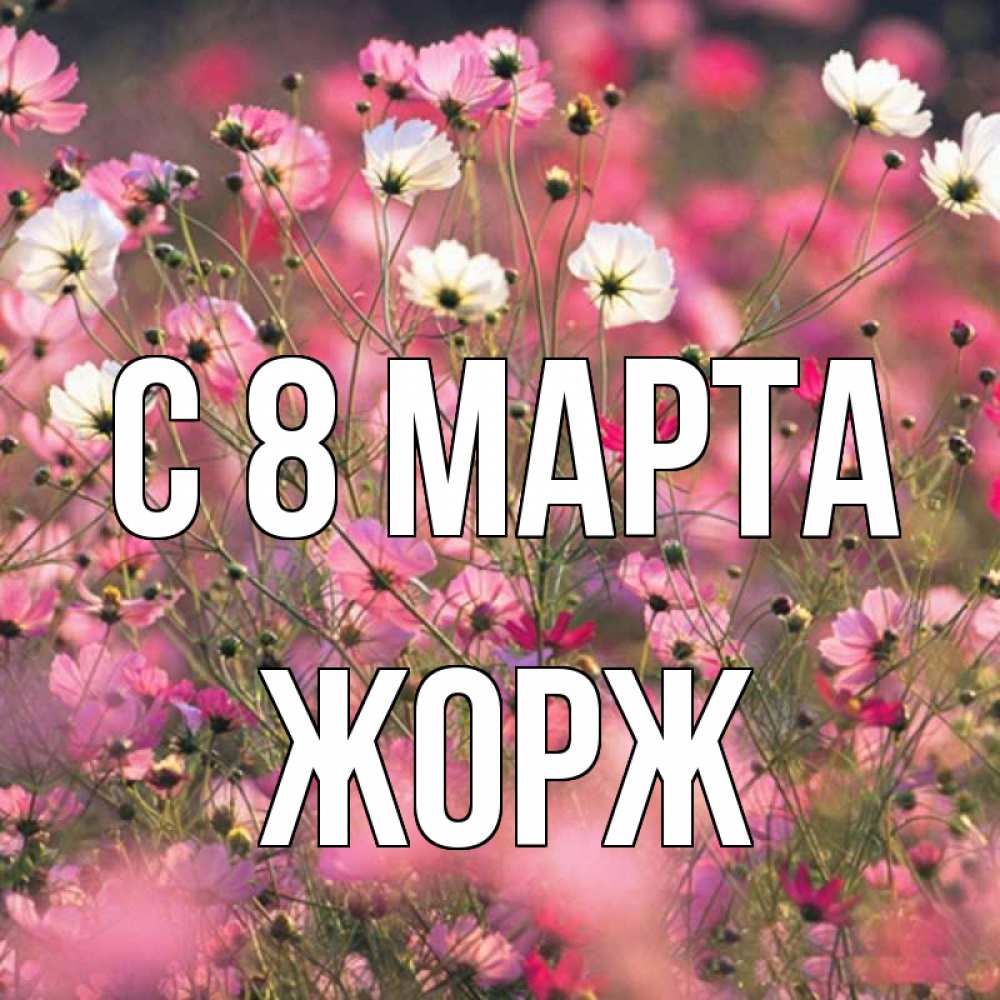 Открытка на каждый день с именем, Жорж С 8 МАРТА красиво 1 Прикольная открытка с пожеланием онлайн скачать бесплатно 