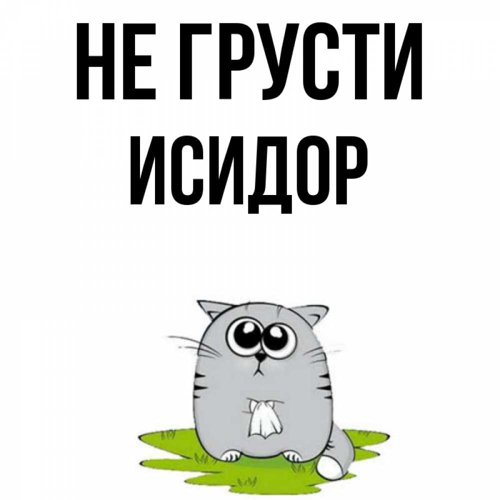 Открытка на каждый день с именем, Исидор Не грусти грустный котяра Прикольная открытка с пожеланием онлайн скачать бесплатно 