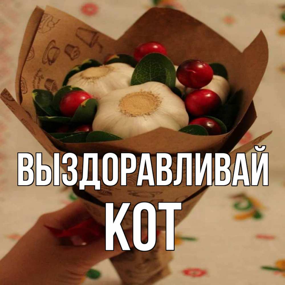 Открытка на каждый день с именем, Кот Выздоравливай букет из фитонцидов и витамина c Прикольная открытка с пожеланием онлайн скачать бесплатно 