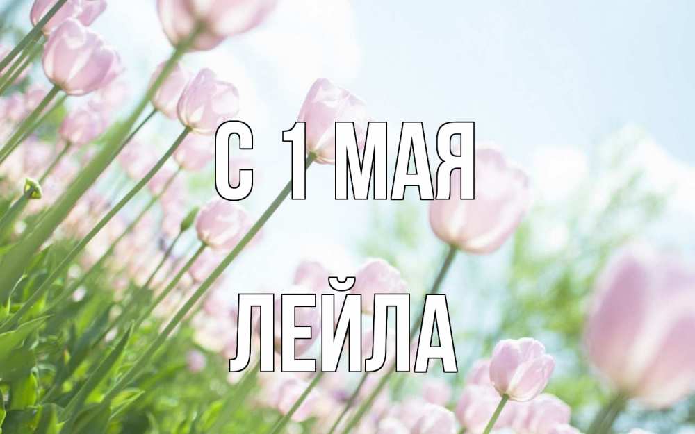 Открытка на каждый день с именем, Лейла С 1 мая С 1 мая Прикольная открытка с пожеланием онлайн скачать бесплатно 