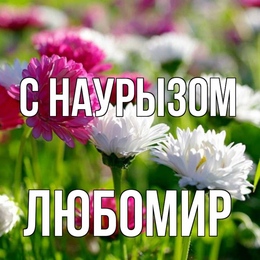 Открытка на каждый день с именем, Любомир С наурызом праздник весны наурыз красота Прикольная открытка с пожеланием онлайн скачать бесплатно 