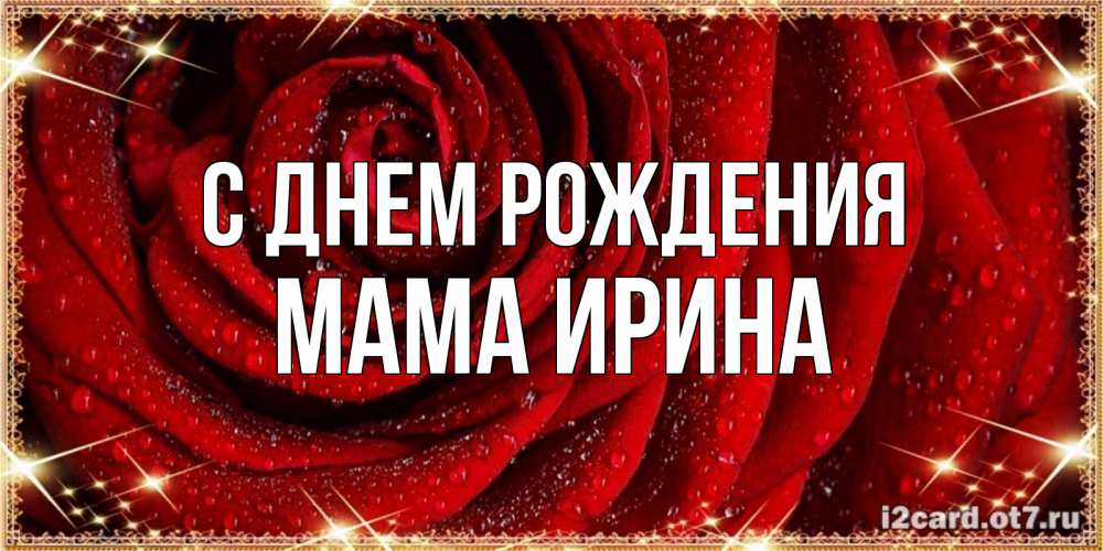 Открытка на каждый день с именем, Мама-Ирина С днем рождения роса на розе блестящая в лучах солнца Прикольная открытка с пожеланием онлайн скачать бесплатно 