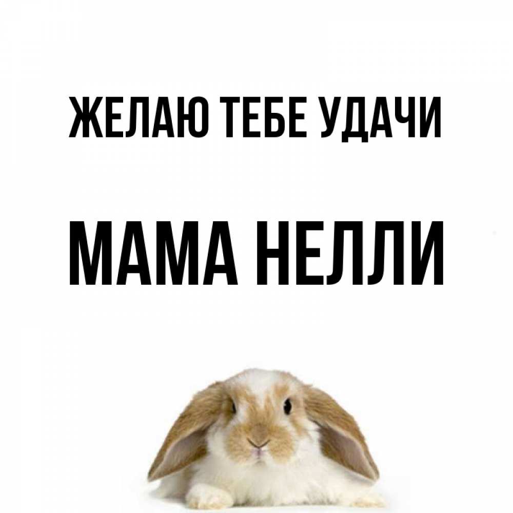 Открытка на каждый день с именем, Мама-Нелли Желаю тебе удачи открытки с произвольным текстом который можно вставить в открытку и создать ее самостоятельно бесплатно онлайн Прикольная открытка с пожеланием онлайн скачать бесплатно 