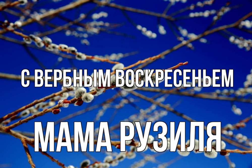 Открытка на каждый день с именем, Мама-Рузиля С вербным воскресеньем верба Прикольная открытка с пожеланием онлайн скачать бесплатно 