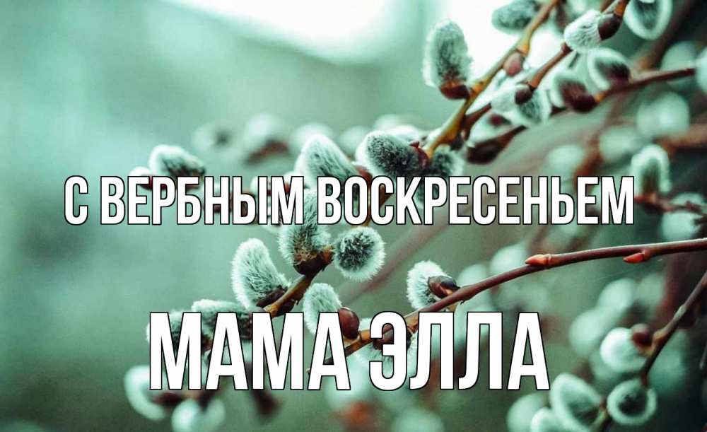 Открытка на каждый день с именем, Мама-Элла С вербным воскресеньем верба Прикольная открытка с пожеланием онлайн скачать бесплатно 