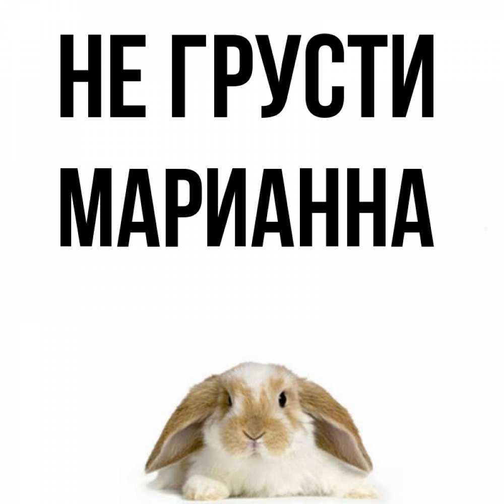 Открытка на каждый день с именем, Марианна Не грусти коричнево белый заяц с большими ушками Прикольная открытка с пожеланием онлайн скачать бесплатно 