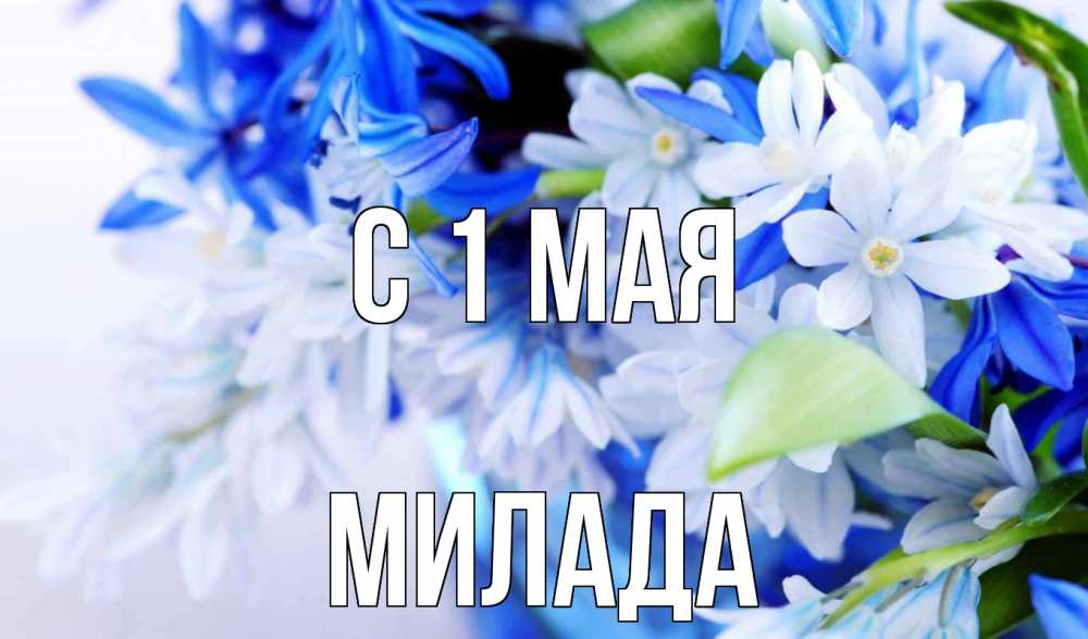 Открытка на каждый день с именем, Милада С 1 мая С 1 мая Прикольная открытка с пожеланием онлайн скачать бесплатно 