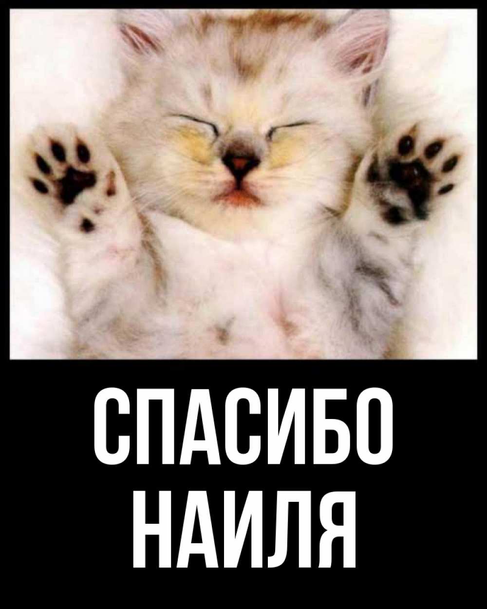 Открытка на каждый день с именем, Наиля Спасибо маленький котенок Прикольная открытка с пожеланием онлайн скачать бесплатно 