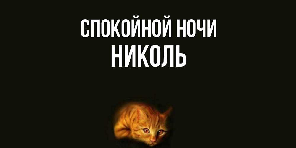 Открытка на каждый день с именем, Николь Спокойной ночи кот Прикольная открытка с пожеланием онлайн скачать бесплатно 