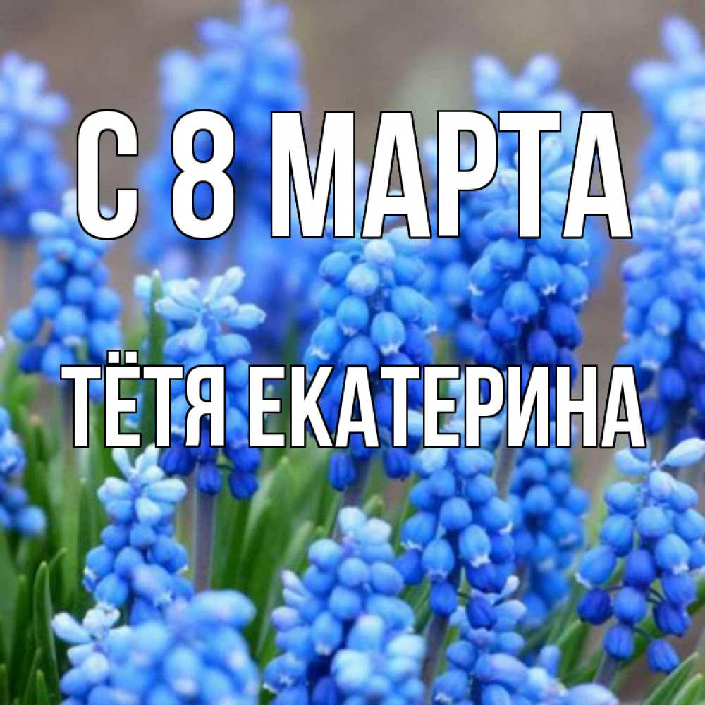 Открытка на каждый день с именем, Тётя-Екатерина С 8 марта Поздравительная открытка для женщин с цветами на праздничную дату Прикольная открытка с пожеланием онлайн скачать бесплатно 