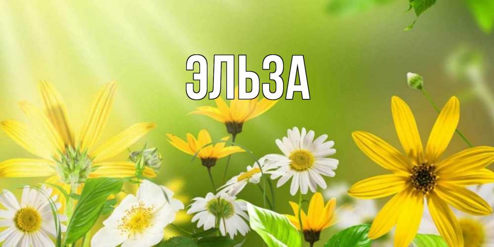 Открытка на каждый день с именем, Эльза Главная цветы Прикольная открытка с пожеланием онлайн скачать бесплатно 