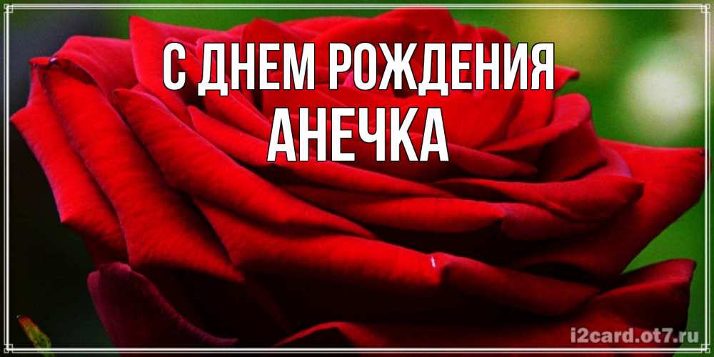 Открытка на каждый день с именем, анечка С днем рождения розочка очень красивая Прикольная открытка с пожеланием онлайн скачать бесплатно 