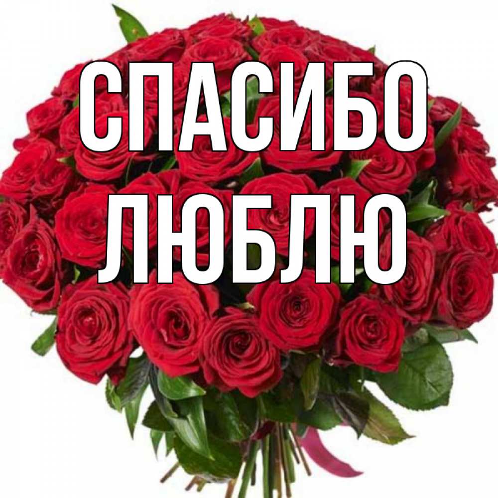 Благодарю сестра. Спасибо люблю. Спасибо сестренка люблю тебя. Спасибо картинки с красными розами. Спасибо сестра картинки очень красивые.