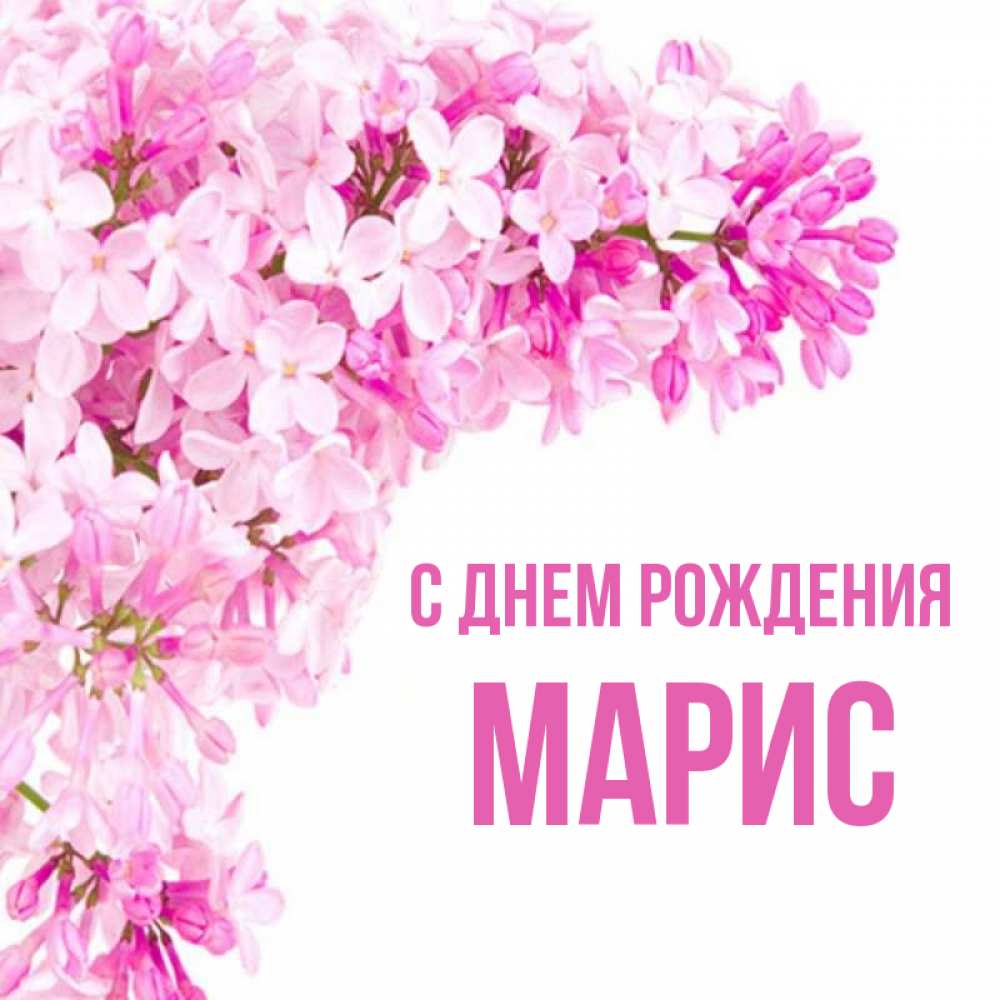 Картинка С днем рождения, Марис