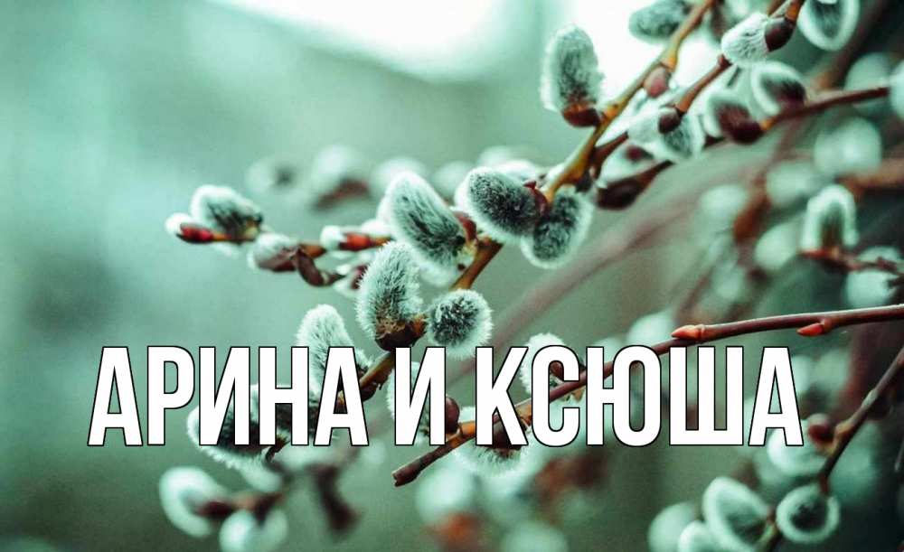 Открытка на каждый день с именем, Арина-и-Ксюша Главная верба Прикольная открытка с пожеланием онлайн скачать бесплатно 