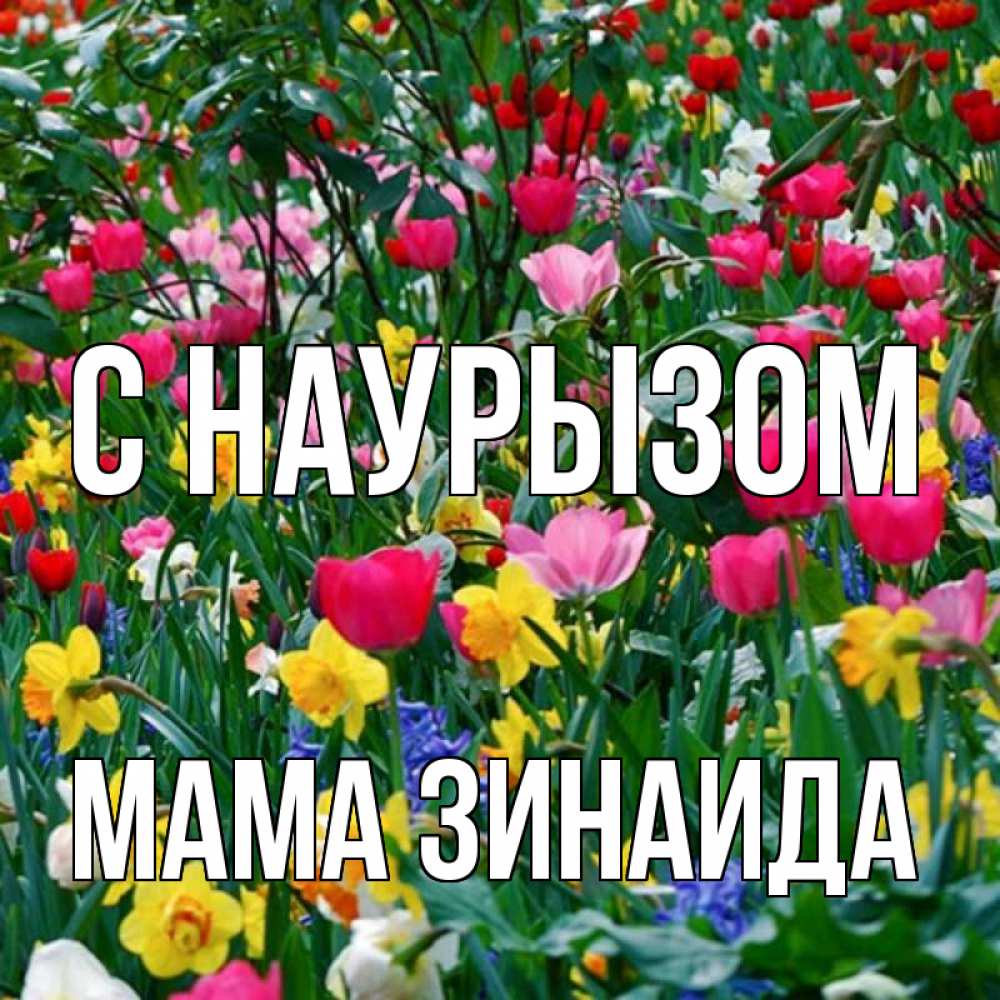 Открытка на каждый день с именем, Мама-Зинаида С наурызом с наурызом праздником весны поздравления для женщины Прикольная открытка с пожеланием онлайн скачать бесплатно 
