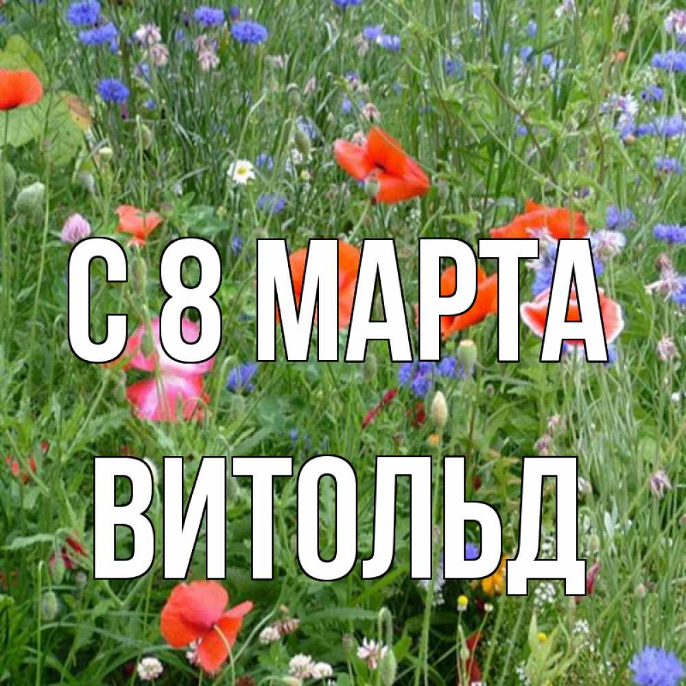 Картинка С 8 МАРТА, Витольд
