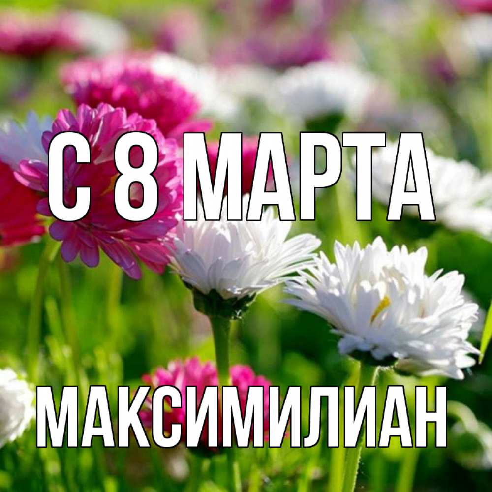 Открытка на каждый день с именем, Максимилиан С 8 МАРТА международный женский день 1 Прикольная открытка с пожеланием онлайн скачать бесплатно 