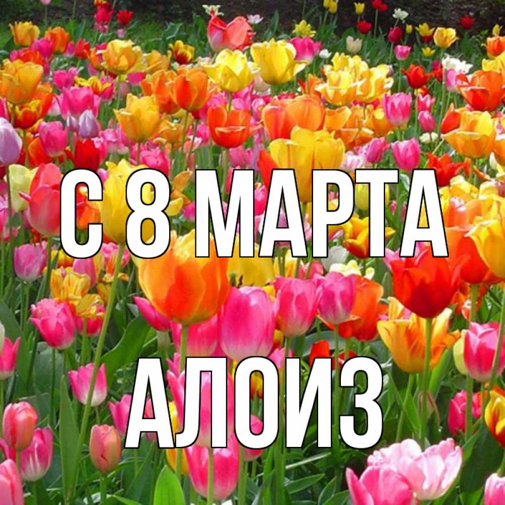 Открытка на каждый день с именем, Алоиз С 8 МАРТА на международный женский день Прикольная открытка с пожеланием онлайн скачать бесплатно 