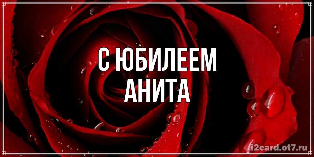 Открытка на каждый день с именем, Анита С юбилеем крупная бордовая роза Прикольная открытка с пожеланием онлайн скачать бесплатно 