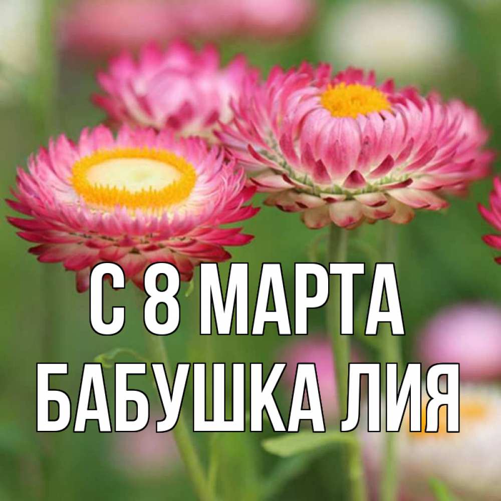 Открытка на каждый день с именем, Бабушка-Лия С 8 марта подарок на международный женский день Прикольная открытка с пожеланием онлайн скачать бесплатно 