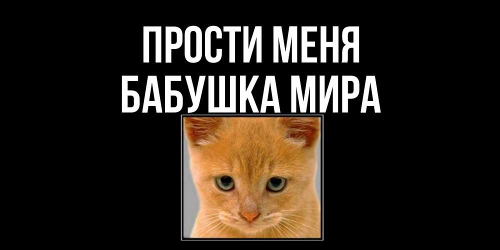 Открытка на каждый день с именем, Бабушка-Мира Прости меня рыжий грустный кот просит прощения Прикольная открытка с пожеланием онлайн скачать бесплатно 