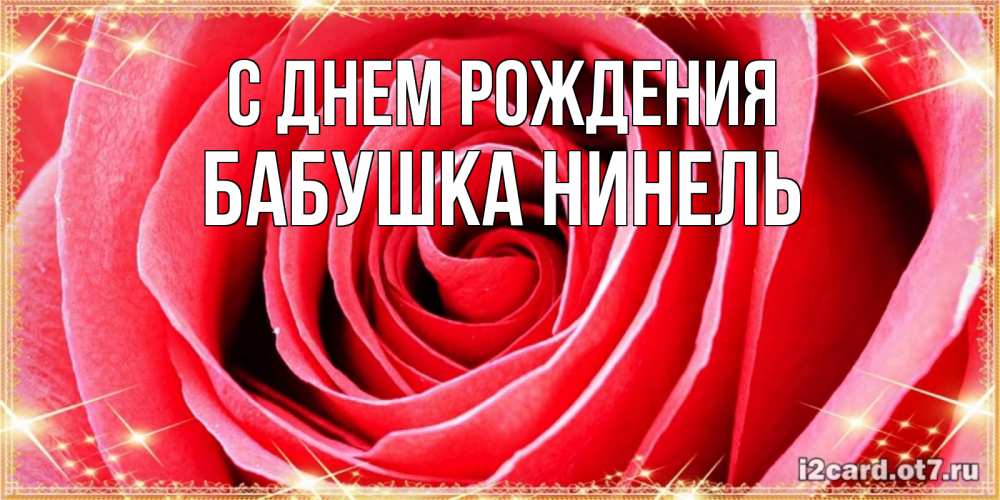 Открытка на каждый день с именем, Бабушка-Нинель С днем рождения розовая роза очень крупный бутон Прикольная открытка с пожеланием онлайн скачать бесплатно 