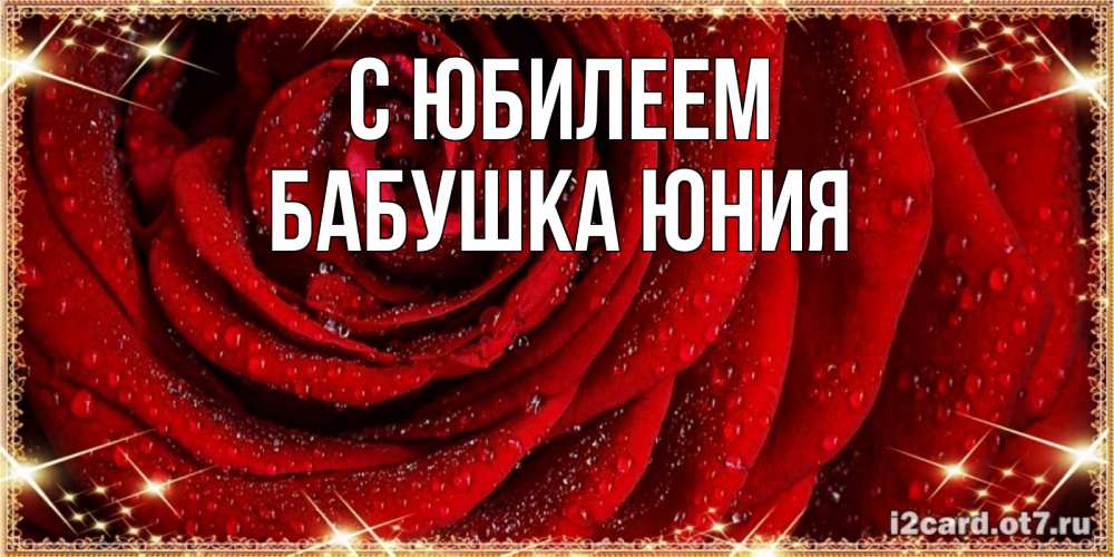 Открытка на каждый день с именем, Бабушка-Юния С юбилеем роса на розе блестящая в лучах солнца Прикольная открытка с пожеланием онлайн скачать бесплатно 