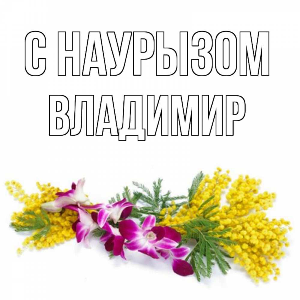 Открытка на каждый день с именем, Владимир С наурызом открытка на международный женский день с цветами  1 Прикольная открытка с пожеланием онлайн скачать бесплатно 