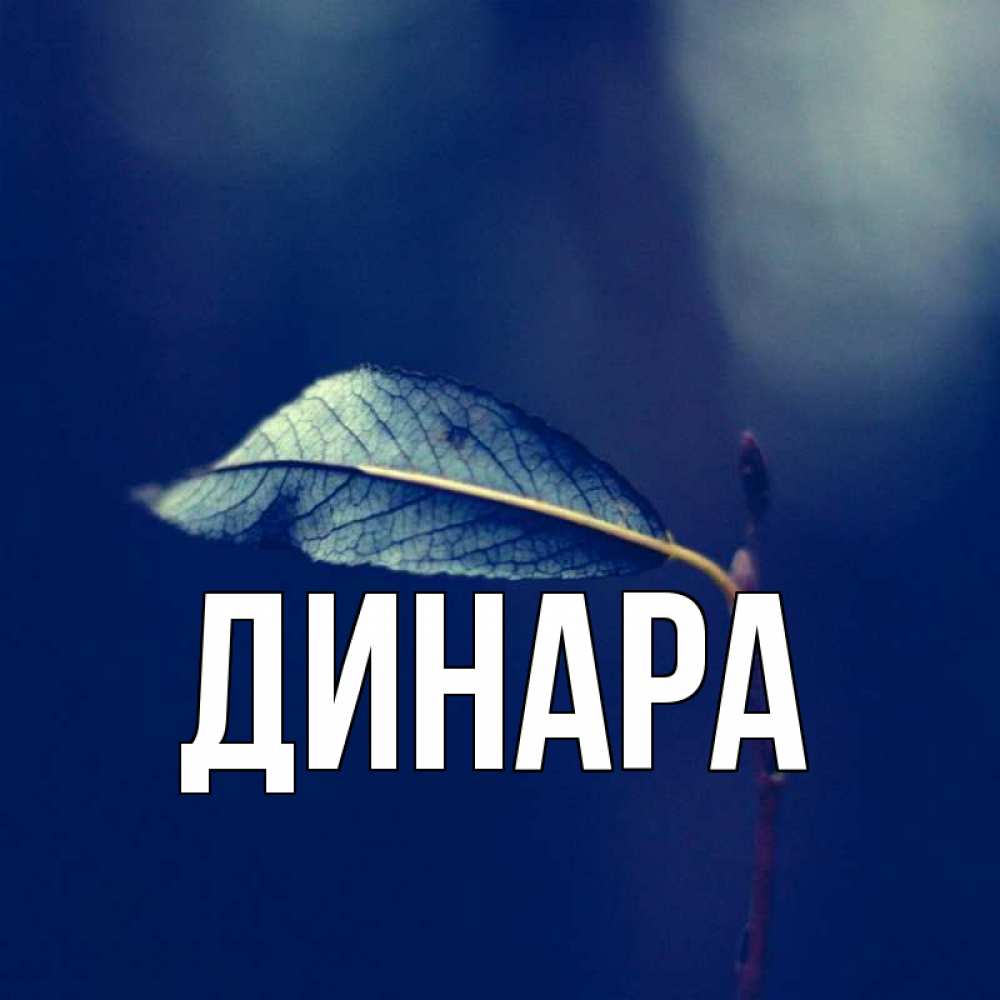 Открытка на каждый день с именем, Динара Главная одна ветка 1 Прикольная открытка с пожеланием онлайн скачать бесплатно 