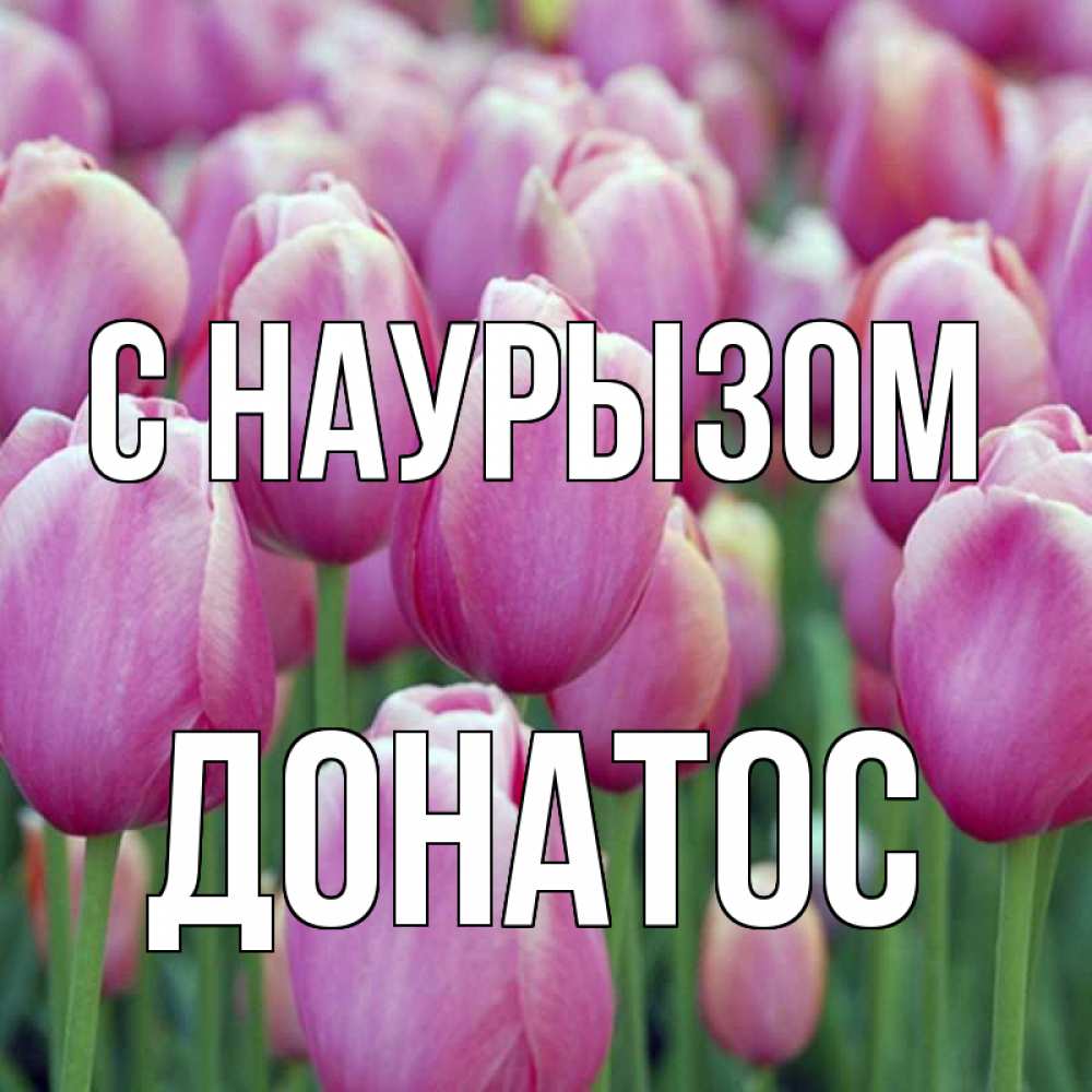 Открытка на каждый день с именем, Донатос С наурызом праздник весны наурыз 69 Прикольная открытка с пожеланием онлайн скачать бесплатно 