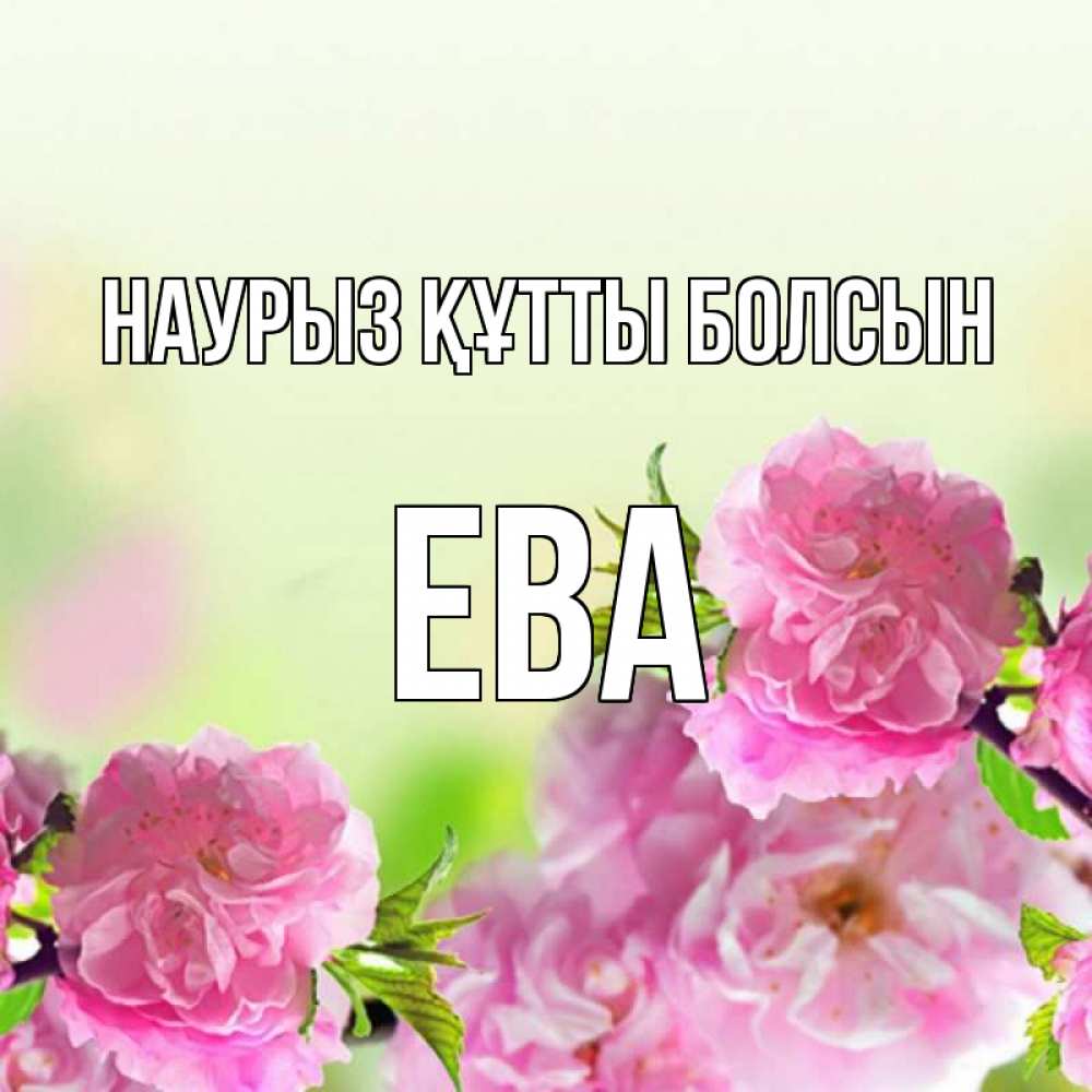 Открытка на каждый день с именем, Ева Наурыз құтты болсын цветы Прикольная открытка с пожеланием онлайн скачать бесплатно 