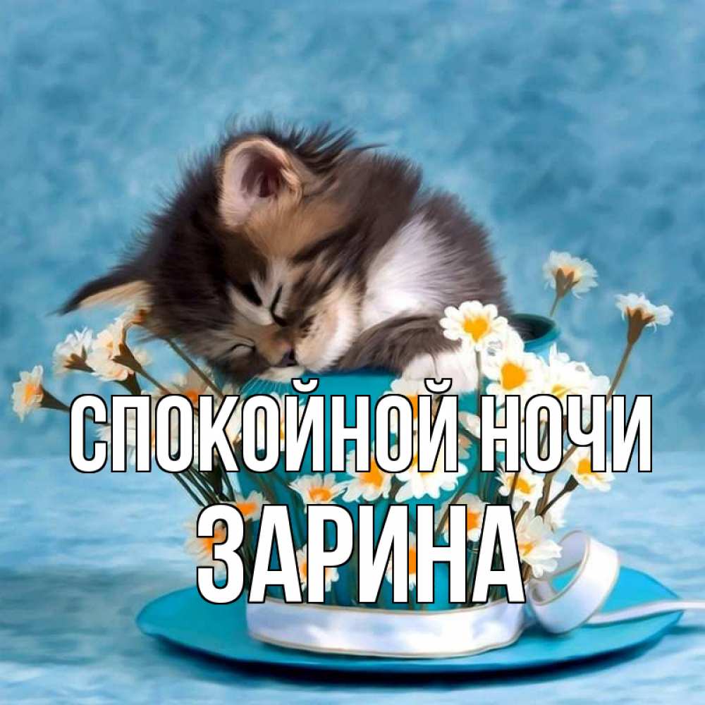 Открытка на каждый день с именем, Зарина Спокойной ночи котенок спит в кружке с блюдцем Прикольная открытка с пожеланием онлайн скачать бесплатно 