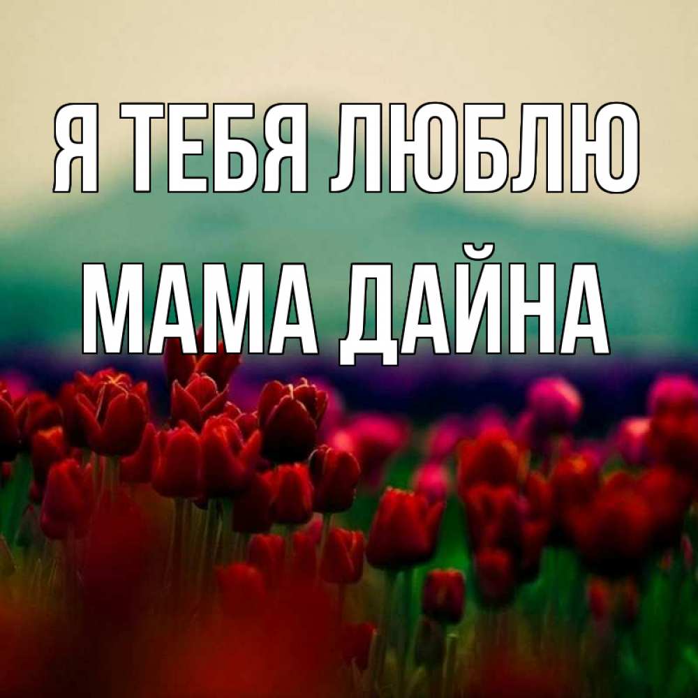 Открытка на каждый день с именем, Мама-Дайна Я тебя люблю тюльпаны 4 Прикольная открытка с пожеланием онлайн скачать бесплатно 