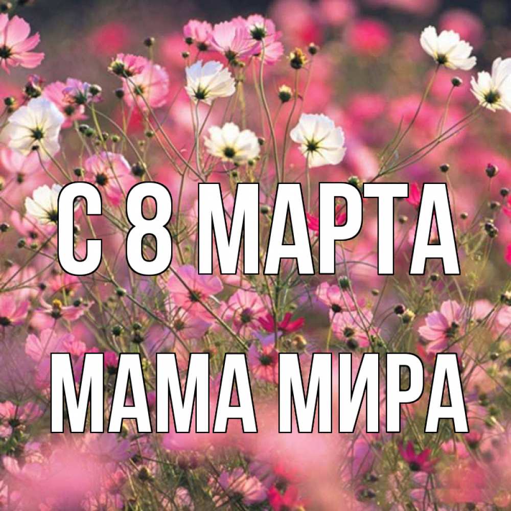 Открытка на каждый день с именем, Мама-Мира С 8 МАРТА красиво 1 Прикольная открытка с пожеланием онлайн скачать бесплатно 