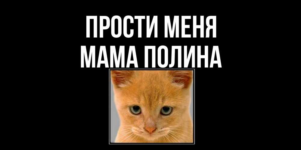 Открытка на каждый день с именем, Мама-Полина Прости меня рыжий грустный кот просит прощения Прикольная открытка с пожеланием онлайн скачать бесплатно 