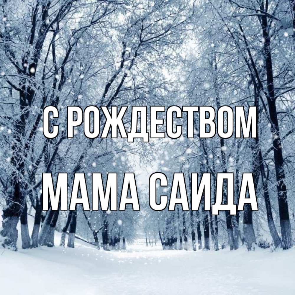 Открытка на каждый день с именем, Мама-Саида С рождеством снег, лес, парк Прикольная открытка с пожеланием онлайн скачать бесплатно 