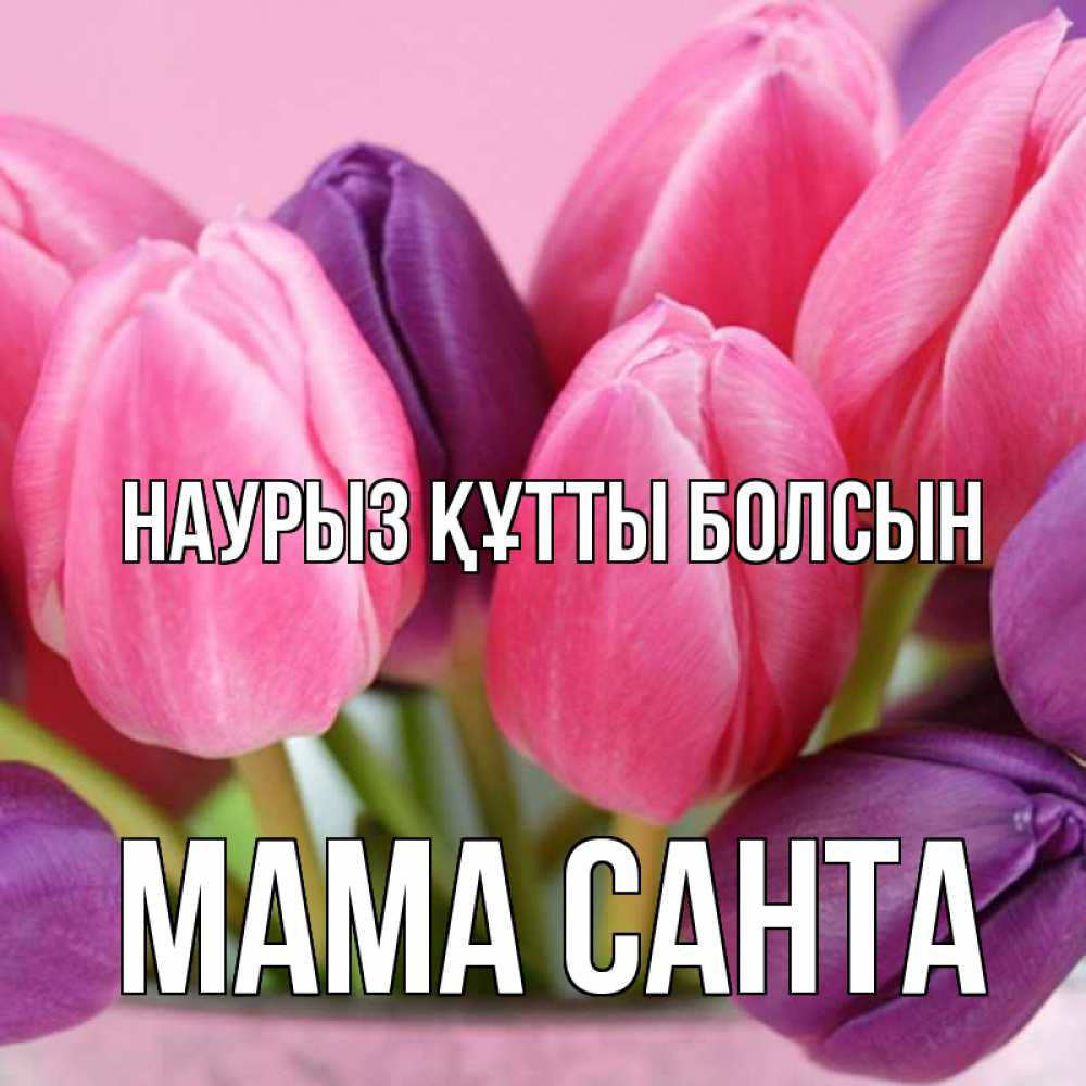 Открытка на каждый день с именем, Мама-Санта Наурыз құтты болсын маме 1 Прикольная открытка с пожеланием онлайн скачать бесплатно 