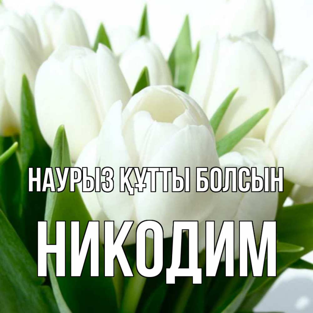 Открытка на каждый день с именем, Никодим Наурыз құтты болсын цветы Прикольная открытка с пожеланием онлайн скачать бесплатно 