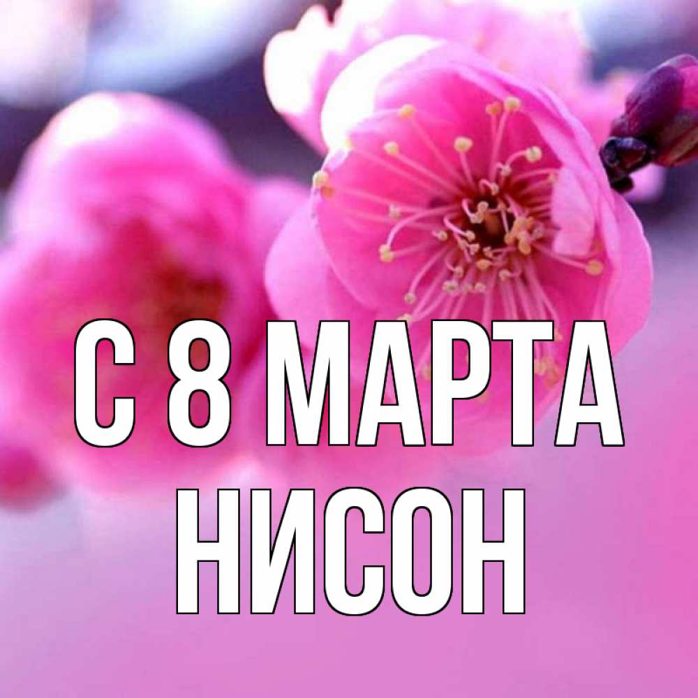 Открытка на каждый день с именем, Нисон С 8 марта международный женский день Прикольная открытка с пожеланием онлайн скачать бесплатно 