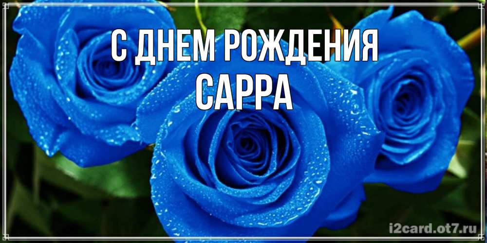 Открытка на каждый день с именем, Сарра С днем рождения розы с синим цветом Прикольная открытка с пожеланием онлайн скачать бесплатно 