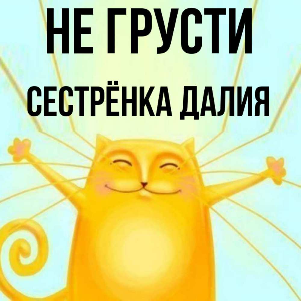 Открытка на каждый день с именем, Сестрёнка-Далия Не грусти обнимашки усатые Прикольная открытка с пожеланием онлайн скачать бесплатно 