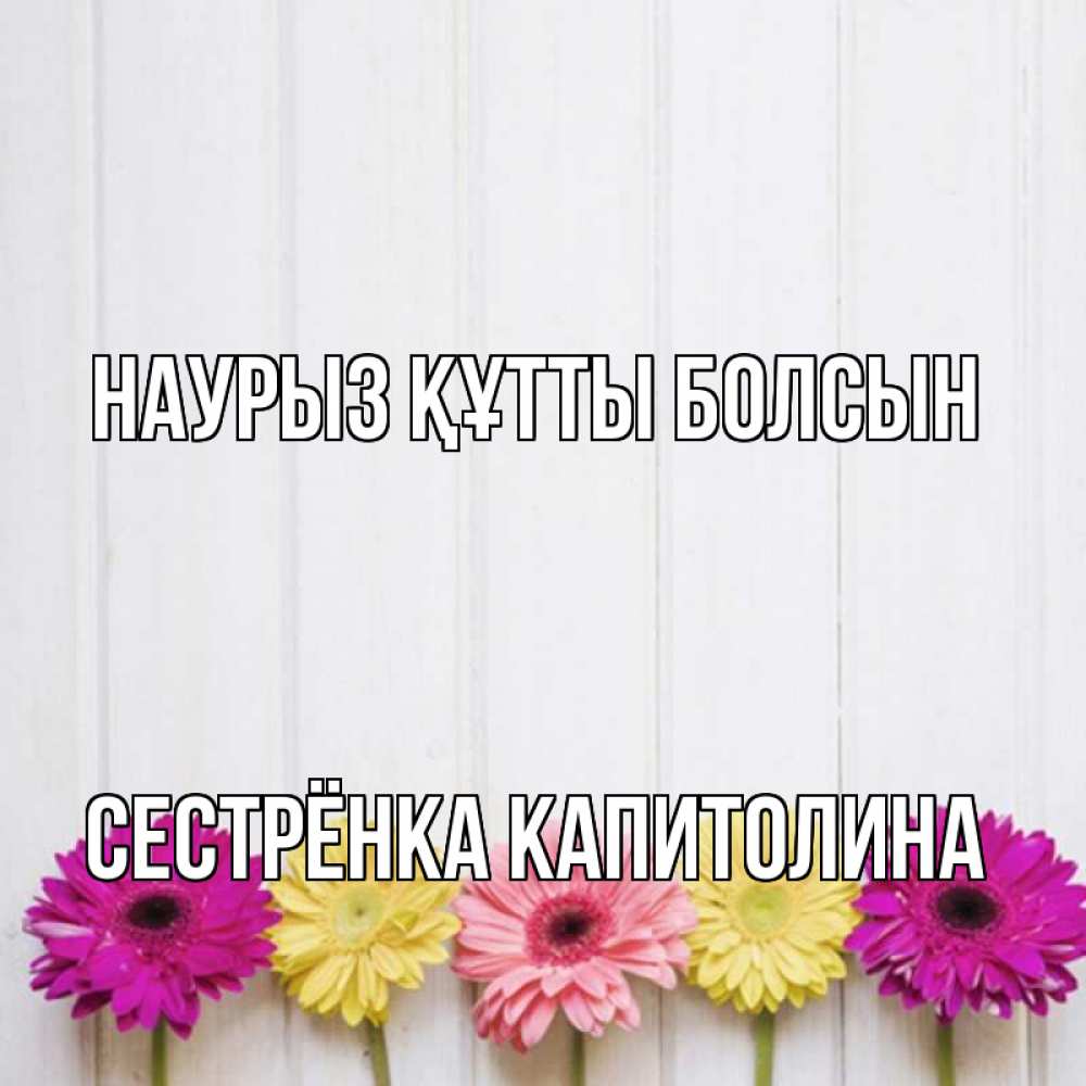 Открытка на каждый день с именем, Сестрёнка-Капитолина Наурыз құтты болсын женщинам 1 Прикольная открытка с пожеланием онлайн скачать бесплатно 