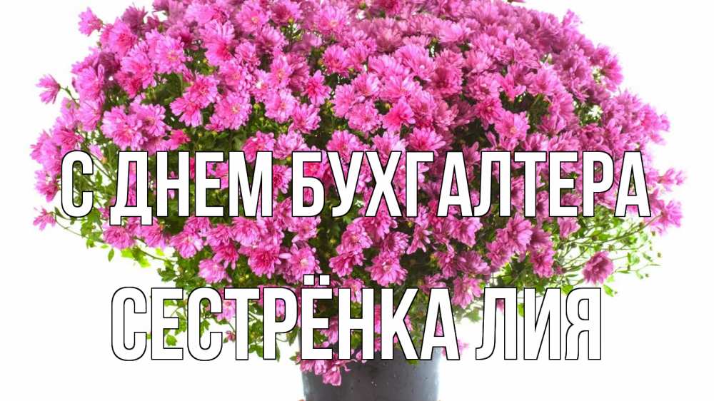 Открытка на каждый день с именем, Сестрёнка-Лия С днем бухгалтера с днем бухгалтера Прикольная открытка с пожеланием онлайн скачать бесплатно 