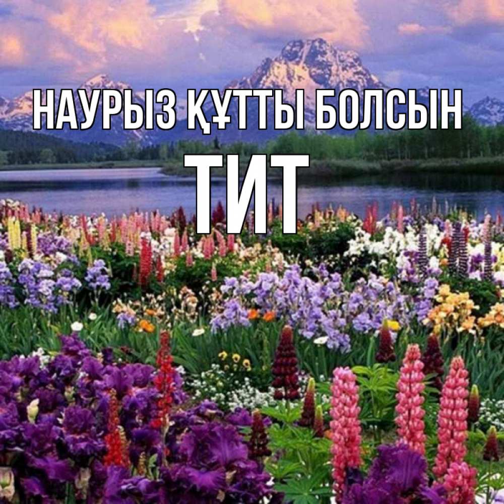 Открытка на каждый день с именем, Тит Наурыз құтты болсын наурыз Прикольная открытка с пожеланием онлайн скачать бесплатно 